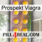 Prospecto Viagra new11